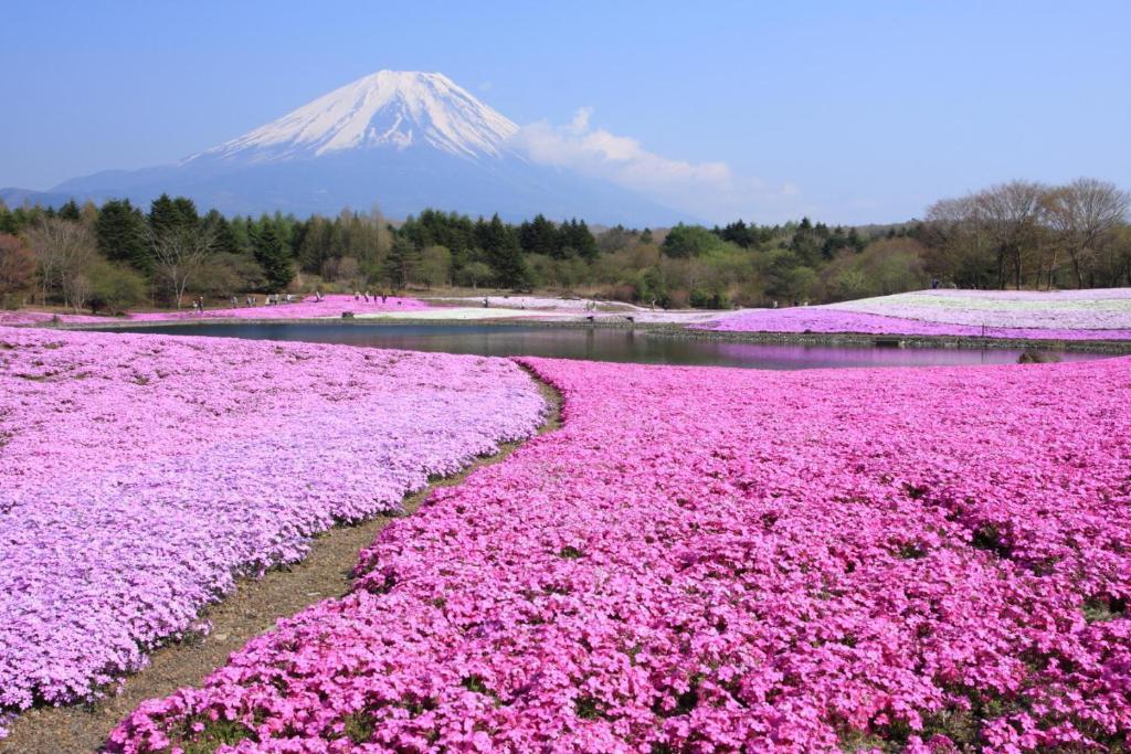 Manten-no-Hoshi Hakone Buitenkant foto